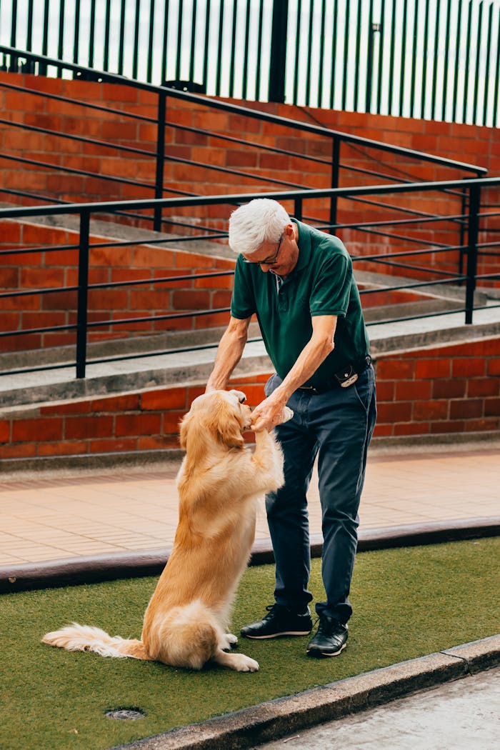 starszy pan bawiący się z pieskiem starszy pan bawiący się z pieskiem